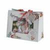 Holiday Gift Paper Bags